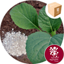 Eco-Shell Soil Improver